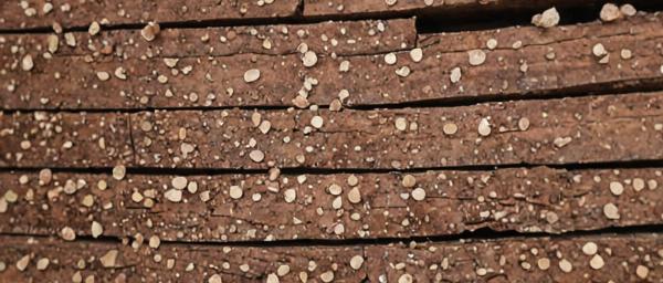 Wood selection process